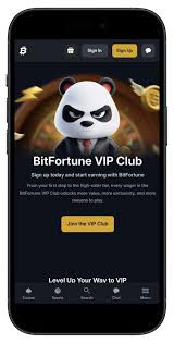 Crypto Blackjack Casino Payment Guide Win and Withdraw with Bitcoin