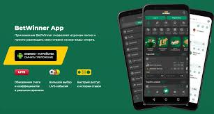 Exploring the BetWinner Casino Platform A Comprehensive Guide 531409551