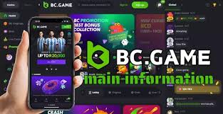 Understanding the BC.Game Login Process A Comprehensive Guide 683240113